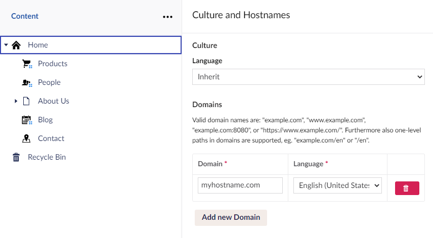 Enter domain and select Language.